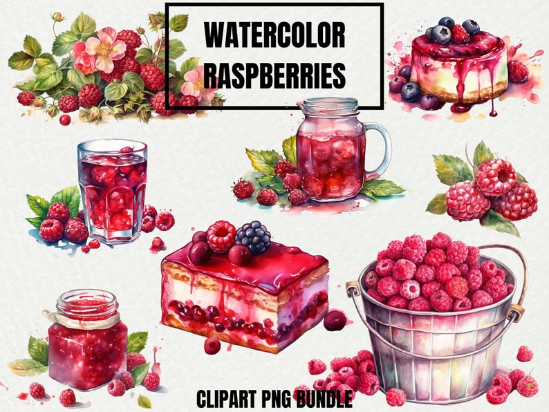 Watercolor Raspberry Clipart Bundle Raspberries Digital PNG Fruit ...