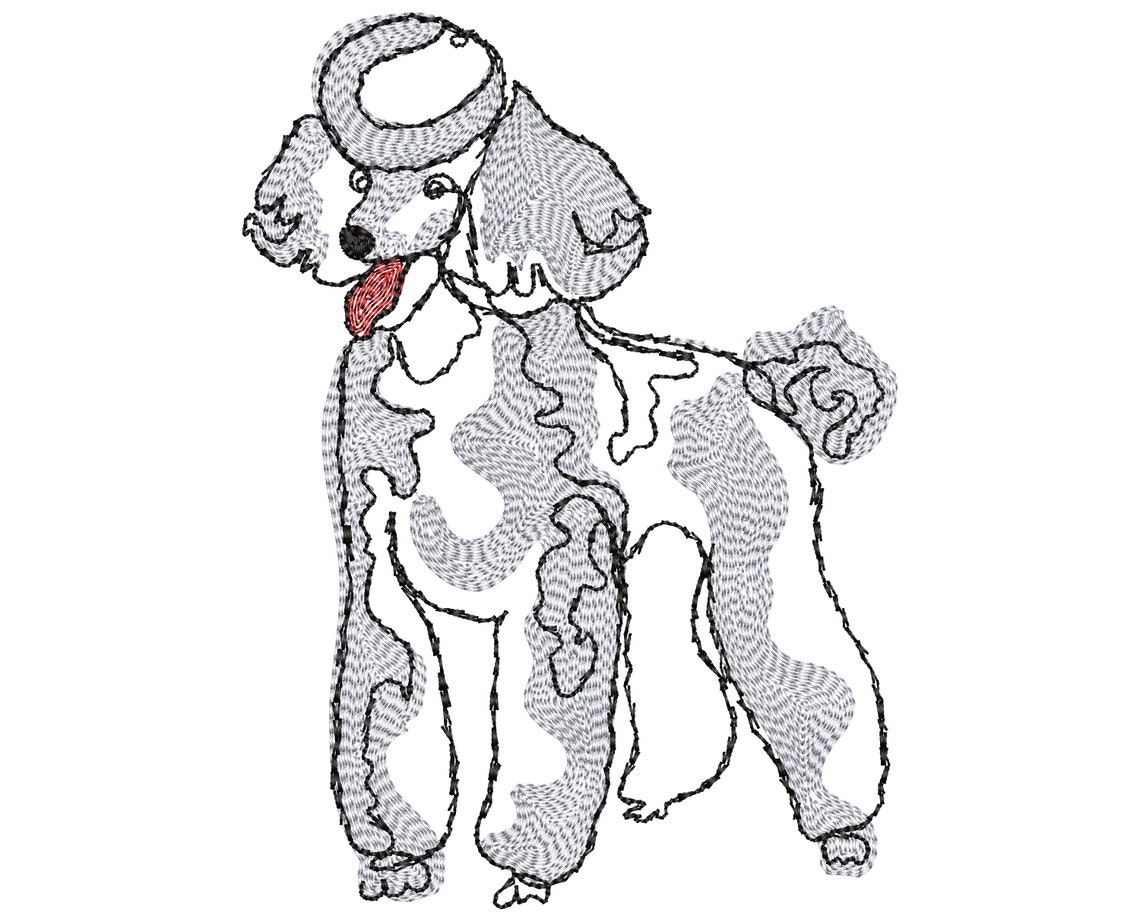 Machine Embroidery Designs Poodle 5 Sizes Free Machine  Etsy