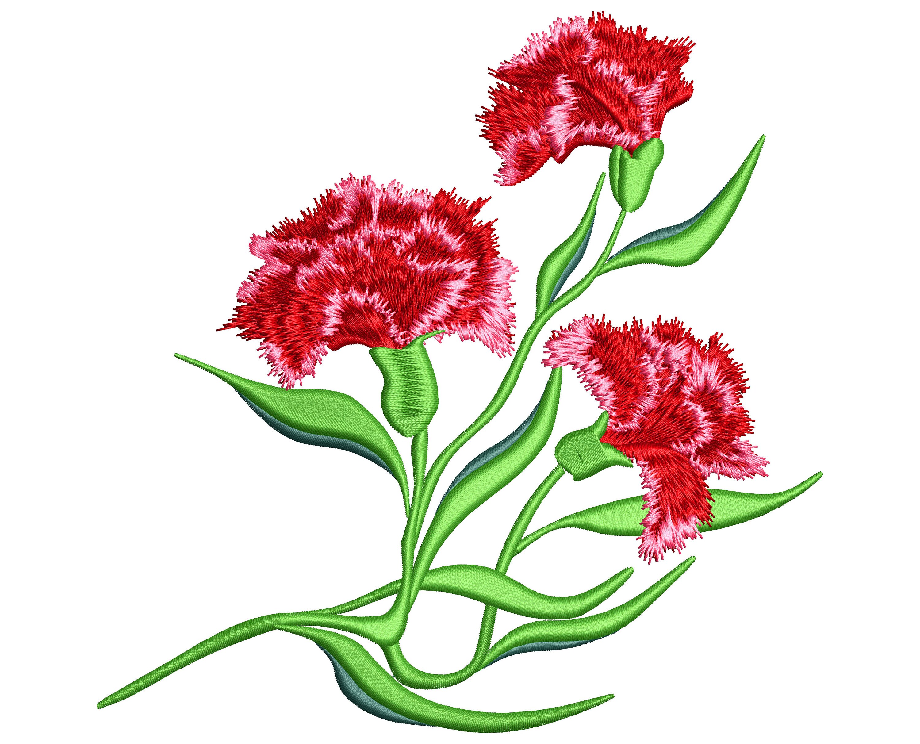 Carnation Flower Machine Embroidery Designs Instant Download Etsy UK