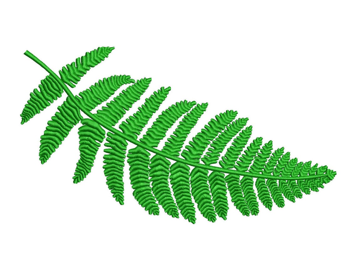 Machine embroidery designs fern leaf 3 sizes  etsy