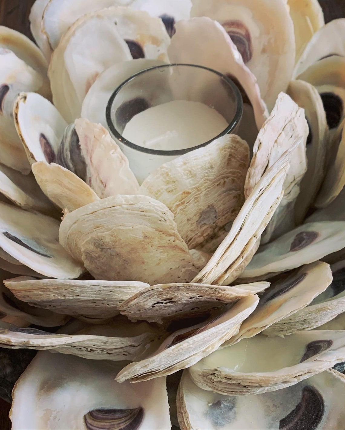 Coastal Oyster Shell Candle Holder Etsy