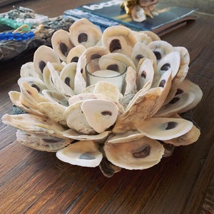 Oyster Shell Candle Holder - Etsy