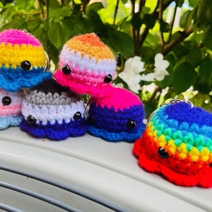 May include: A set of six crocheted keychains in various colors, including rainbow, pink, gray, and white. Each keychain features a round, textured design with a black button eye.