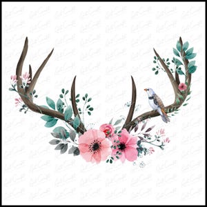 Pink Floral Antler with Bird Png Download