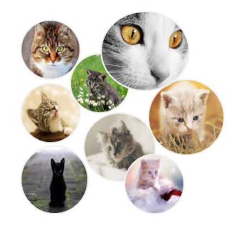 A16 CHAT Planche image digitale cabochon