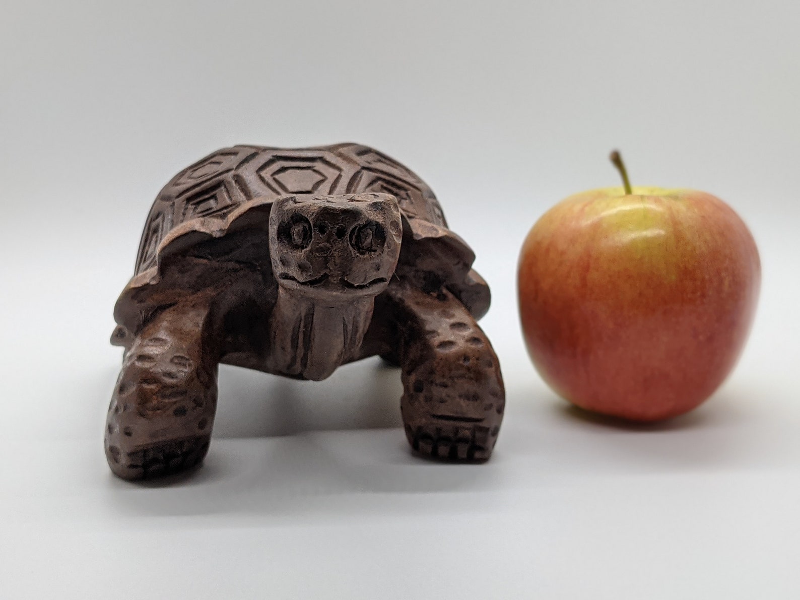 Tortuga galápagos de madera tallada a mano | Etsy