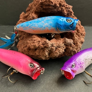 Fishing Lure-Topwater PopMax popper-Custom painted lure-Popper