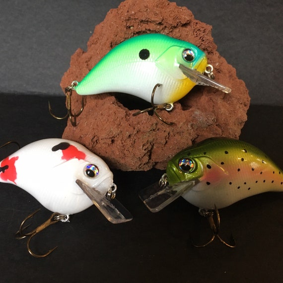 Rainbow Trout, Custom Painted Crankbait Fishing Lure. Fishing Gifts for  Husband, Fishing Gifts for Her. 