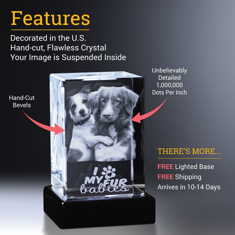 Pet Photo Gift, Dog Lover Memorial, Pet Loss Gift, Photo Gift, Crystal ...