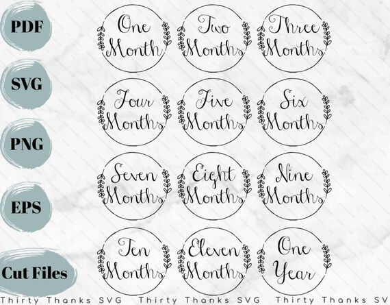 Download Baby Milestones Svg Month Milestone Svg Baby Onesie Svg Etsy