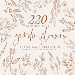 Botanical and Floral line art collection, 220 Elements, Handwriting Script FONT INCLUDED, PNG, Eps vector Clip Art, Illustrations Wedding