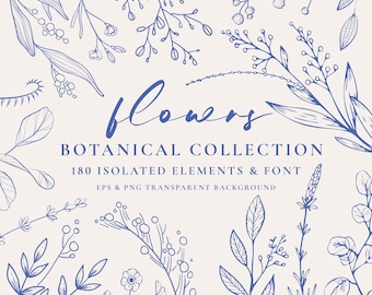 May include: A digital illustration showcasing a botanical collection of flowers and leaves in a soft blue outline on a cream backdrop. The word "Flowers" is written in cursive, with the text "Botanical Collection" and "180 Isolated Elements & Font" below.