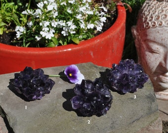 Amethyst Flowers