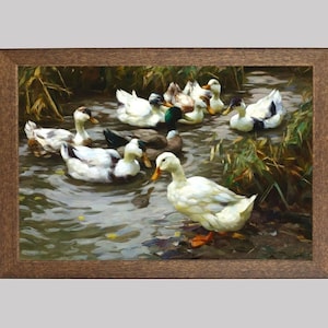 Vintage Ducks Pond Print: Classic Animal Portrait