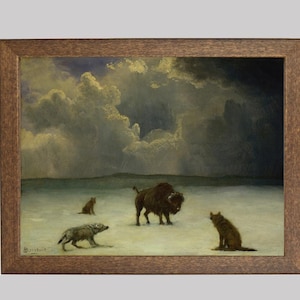 Trapped, a Dramatic Painting of a Lone Wolf Surrounded by a Pack of Wolves - FREE SHIPPING