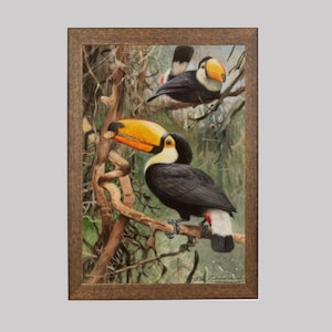 Toucans - Vintage Tropical Wildlife Painting - Two Toucan Birds in the Jungle Art Print - FREE SHIPPING