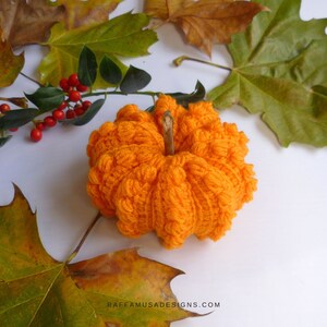 May include: A crocheted orange pumpkin with a brown stem, surrounded by fall leaves.