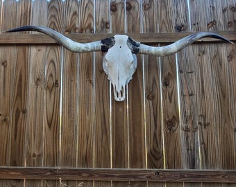 Longhorn Steer Skull 62in Cowskull Mounted Western Rodeo Decor Cowboy Countryside