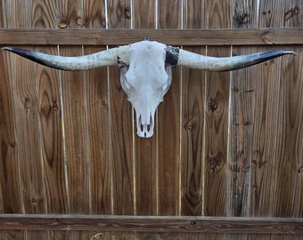 Longhorn Steer Skull 4Ft 10in Cowskull Mounted Westerncore Rodeo Decor Cowboy
