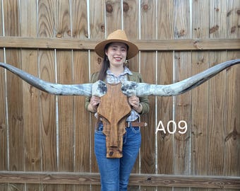 4 ft 10 in Longhorn Mount, Wood Skull and Real Horns, Taxidermy Wall Art, Cowboy Style Decor, Western Art, Country Lovers Gift, Texas