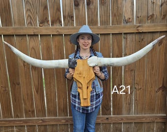 Cowskull Longhorn Wall Mount, Wood Skull, Real Horns, Country Lovers, Cowboy Decor, Western Style (4ft11in) Modern contemporary handmade art