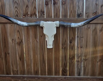 66in Cowskull Longhorn Wall Mount Wood Skull Real Horns Western Handmade Rodeo Art Decor Taxidermy