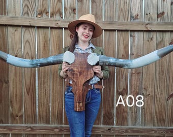 A08 Cowskull Longhorn, 5 ft 9 in Wood Skull, Real Horns Wall Decor, Taxidermy Art, Western Style, Cowboy Decor