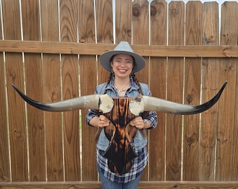 Cowskull Longhorn Wall Mount, Wood Skull Real Horns Country Lovers Cowboy Decor Western Style (3ft 8in) Modern Contemporary Handmade art B07