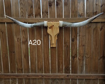 Cowskull Longhorn Wall Mount, Wood Skull, Real Horns, Country Lovers, Cowboy Decor, Western Style (5ft 4in) western-style accessories modern