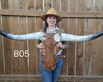 B05 (4ft 9in) Longhorn wall mount, western art decor, modern contemporary, polish horns, wood crafting, western style bullskull mounted