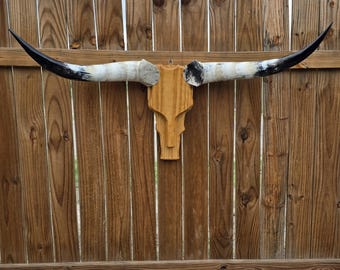 Cowskull Longhorn Wall Mount, Wood Skull, Real Horns, Country Lovers, Cowboy Decor, Western Style (4ft 5in) modern contemporary handmade art