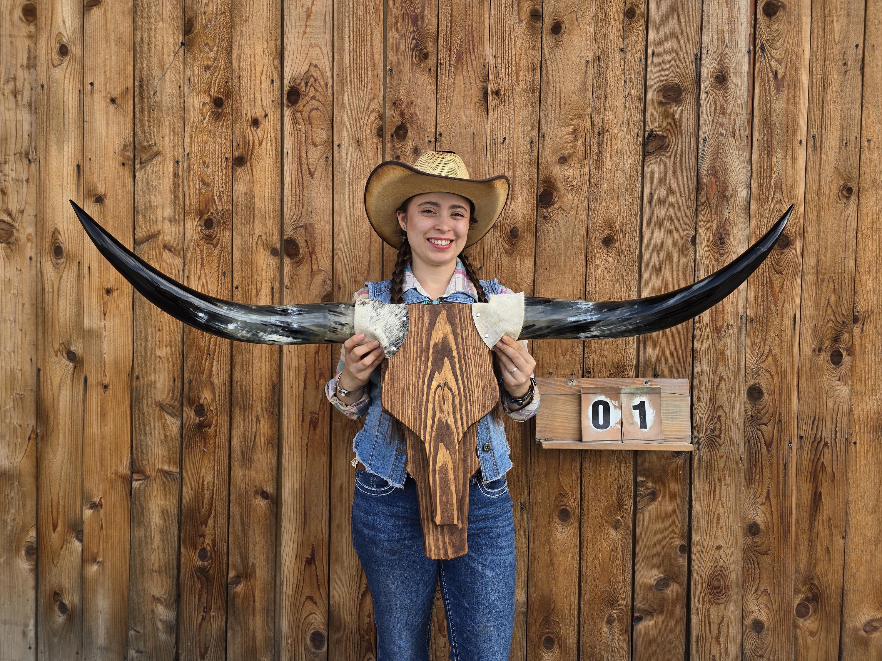 Real Longhorn Horns - Etsy