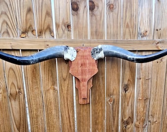 A06 (3 ft 10 in) Cowskull Longhorn wall mount wood skull real horns taxidermy western art decor, western style, country lovers cowboy Texas