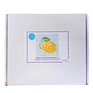 Lemon Mosaic Kit, Kitchen Trivet Kit, Kitchen Art, DIY Craft Box, Make Your Own, Yellow Citrus Fruit image 3