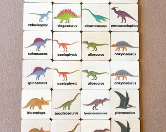 Montessori Wooden Dinosaur Game - Dinosaur Memory Cards - Memory Game –  Bush Acres