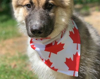 Canadian Maple Leaf Dog Bandana | Dog Photo Scarf | Fun Pet Costume Bandana