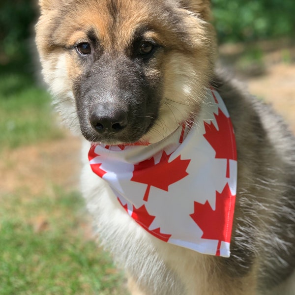 Canadian Maple Leaf Dog Bandana | Dog Photo Scarf | Fun Pet Costume Bandana