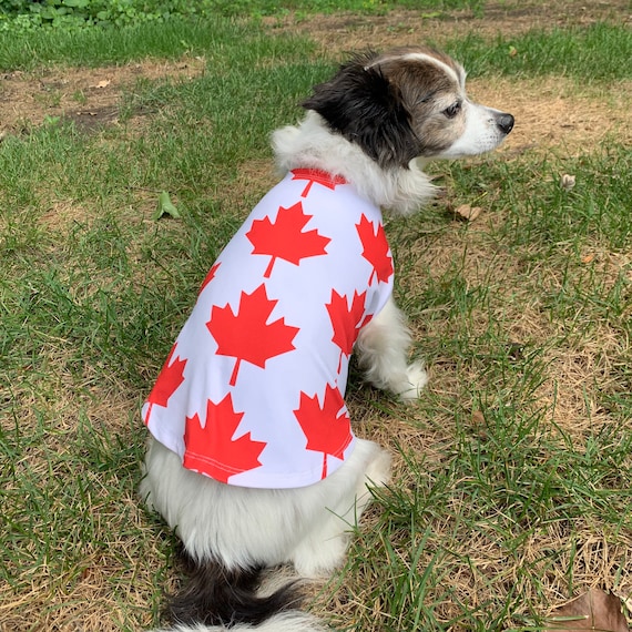 Canadian top dog clothes