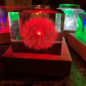LIGHT UP Dandelion cube / resin art / Keepsake / Handmade / Canada / fluff