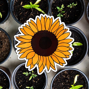 Pegatina de vinilo de girasol