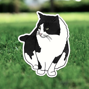 Schwarze und weiße Katze Vinyl Sticker