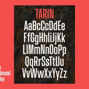 Tarin Condensed Display Font | Hohe, schmale Schriftart (OTF/TTF/WOFF-Dateien) Inklusive kommerzieller Lizenz