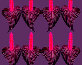 conservation frame neon paisley lily