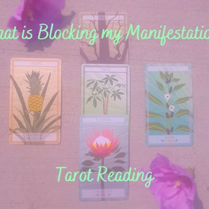 Next Day | What is Blocking My Manifestations | Tarot / Psychic Reading