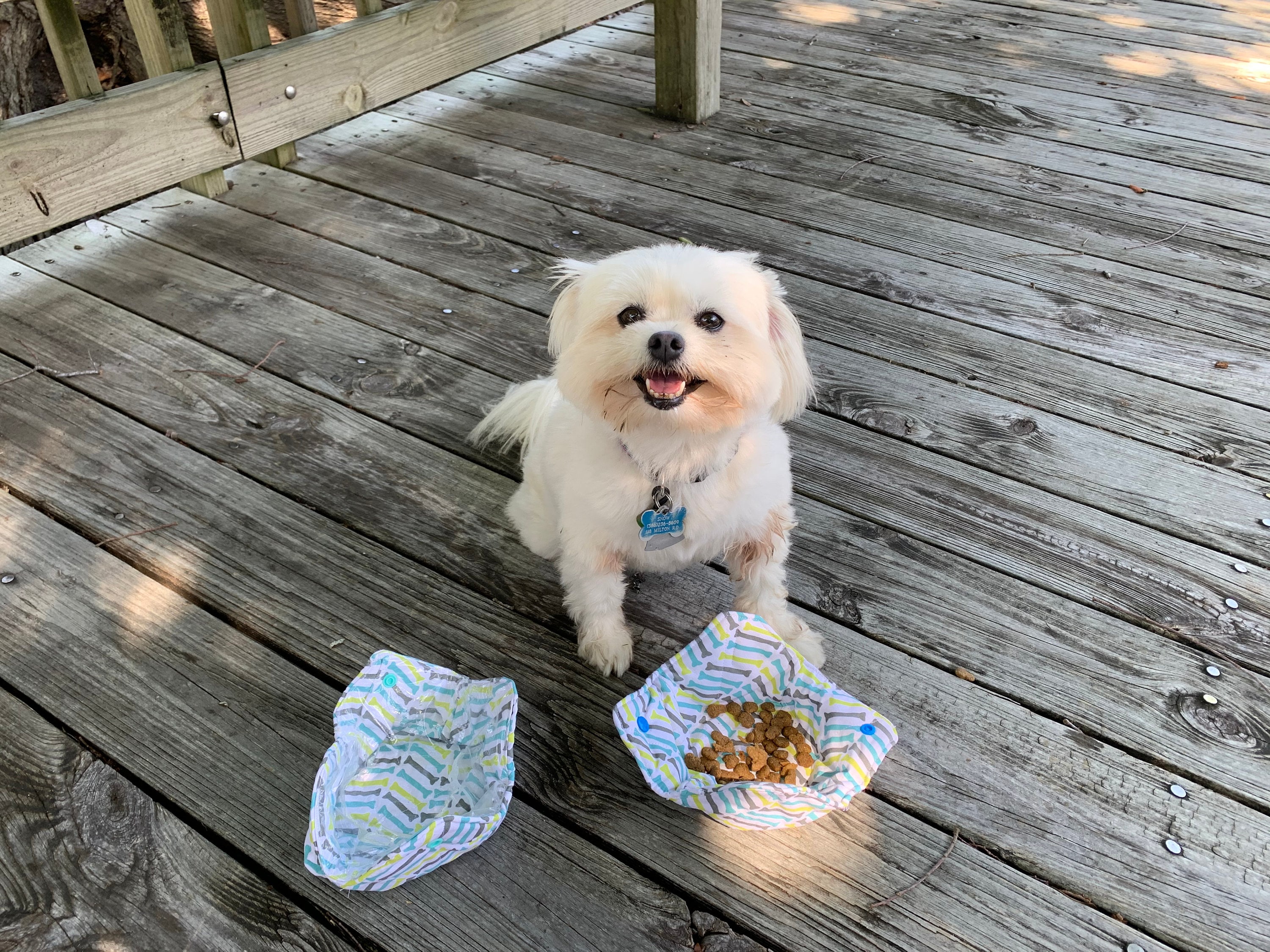 Is Dog Food Covered On Ebt at Matthew Welborn blog