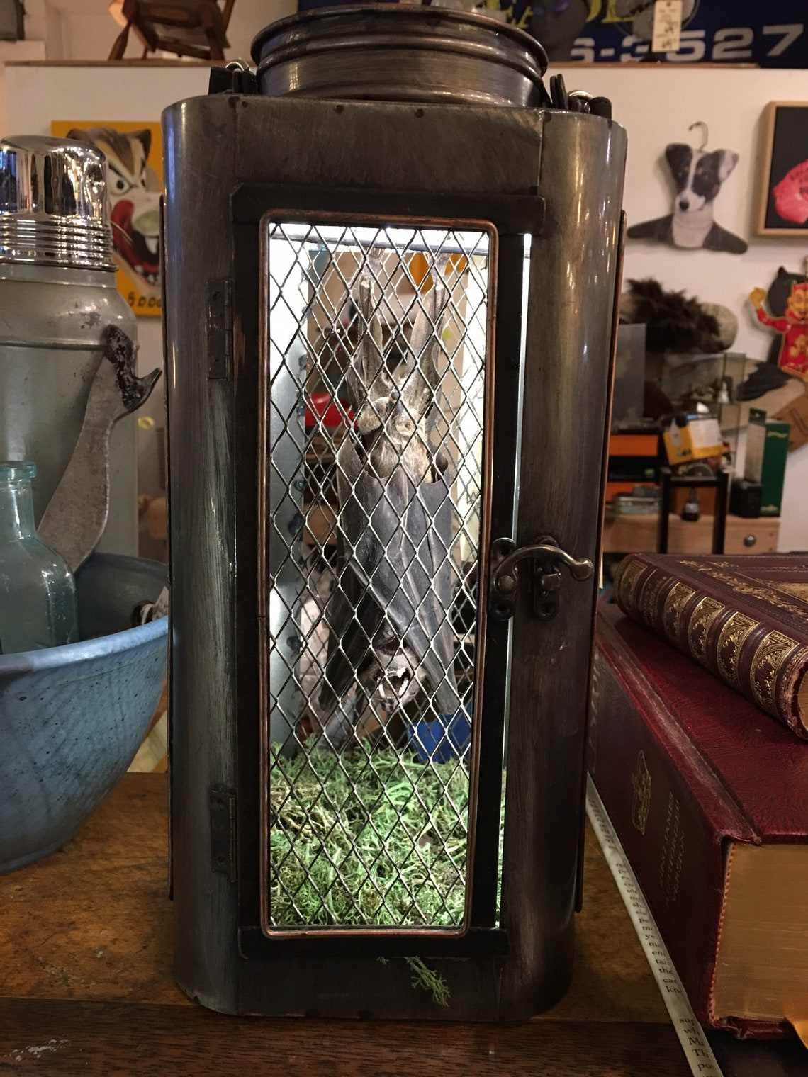 Hanging Bat in light up lantern Etsy