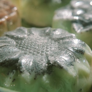 Exfoliërende sheaboterzeep met etherische oliën van tea tree maanzaad