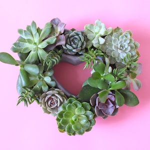 Blooming Heart Cement Planter: Valentine&#39;s Day Succulent Centerpiece