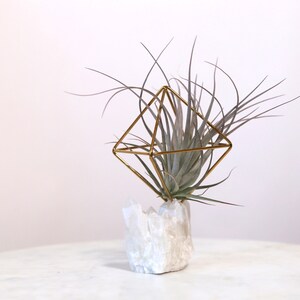 Flora Quartz Crystal with Air Plant | Birthday Gift for Best Friend, Coworker, or Mom who loves Plants | Crystal Air Plant Holder