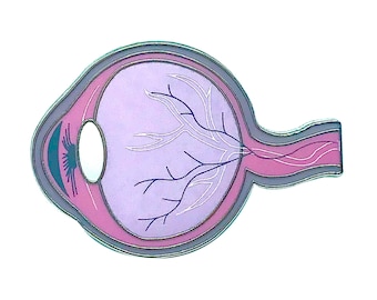 Eye Pin, Medical Pin, Enamel Pin, Optometry, Optometrist, Anatomy Pin, Organs Pin
